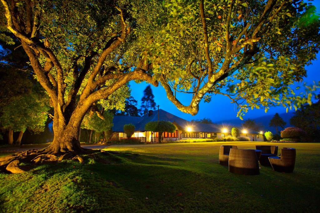 Ferncliff Bungalow في نوارا إليا: حديقة مع مقاعد تحت شجرة في الليل