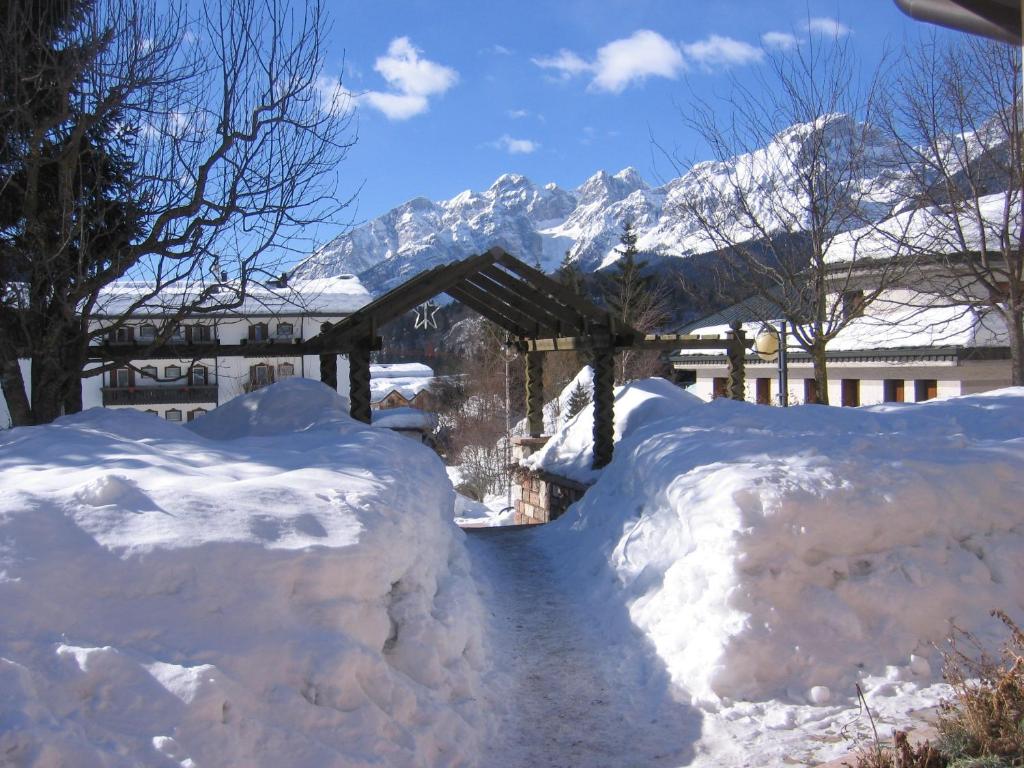 Zdjęcie z galerii obiektu Dolomiti Hotel Olimpia w Andole