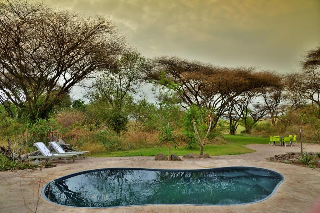 a swimming pool in a yard with a bench and trees at Muchenje Self Catering Cottages in Chobe