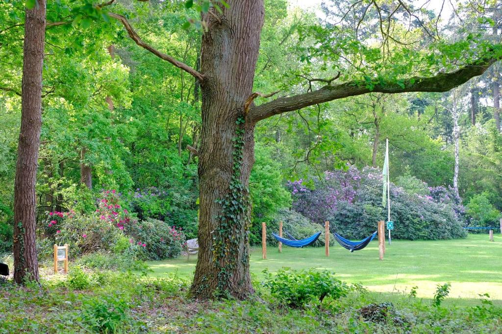 Zahrada ubytování Landgoedhotel Woodbrooke Barchem