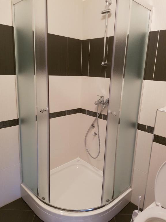 a shower stall in a bathroom with a toilet at Apartments Tereza in Senj