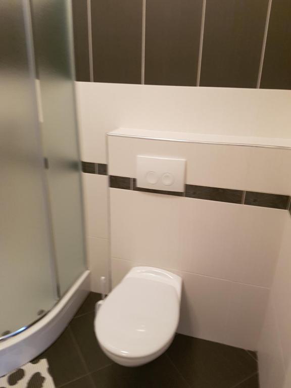 a bathroom with a white toilet in a stall at Apartments Tereza in Senj