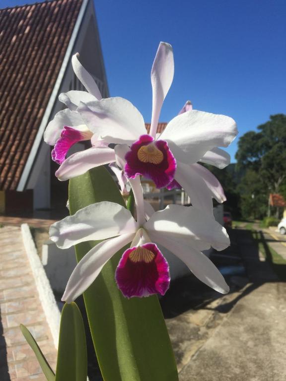  Pousada Recanto das Orquideas