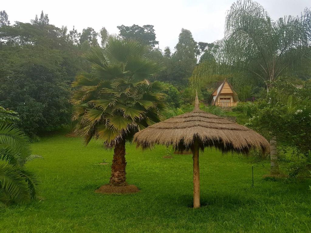 Zahrada ubytování Kivu Paradis Resort