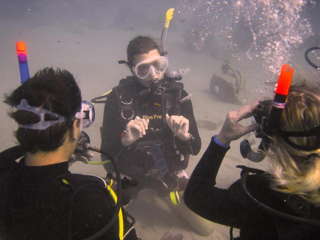 Hosté ubytování Oonas Dive Club
