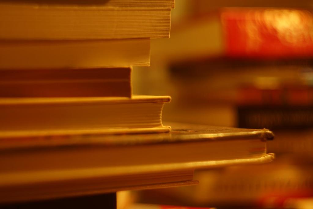 Hotel Bett und Buch - 4