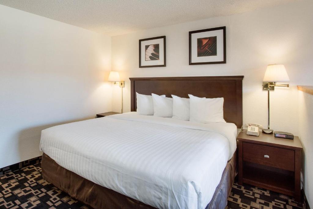 MorningGlory Inn & Suites - Room King - Non-fumeur