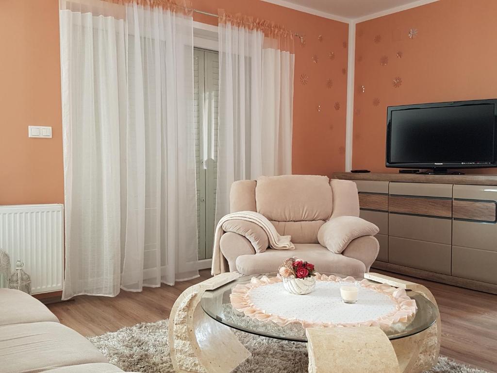 TV a/nebo společenská místnost v ubytování Apartments Suzana