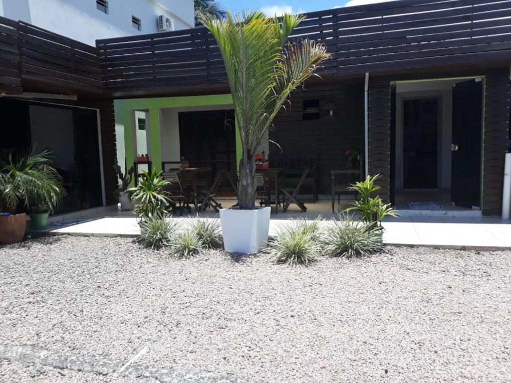 a palm tree in the middle of a courtyard at Pousada da Família in Araranguá