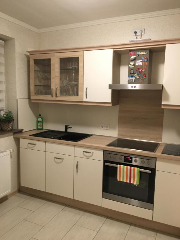 Kuchyň nebo kuchyňský kout v ubytování Ferienwohnung am DOC