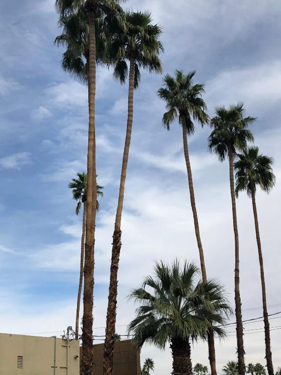 Fotografie z fotogalerie ubytování Desert Lodge v destinaci Palm Springs
