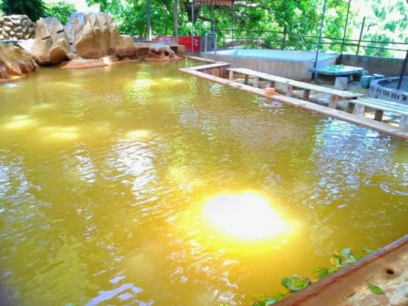 a large pool of murky water in a zoo at JS Hotspring in Ruisui