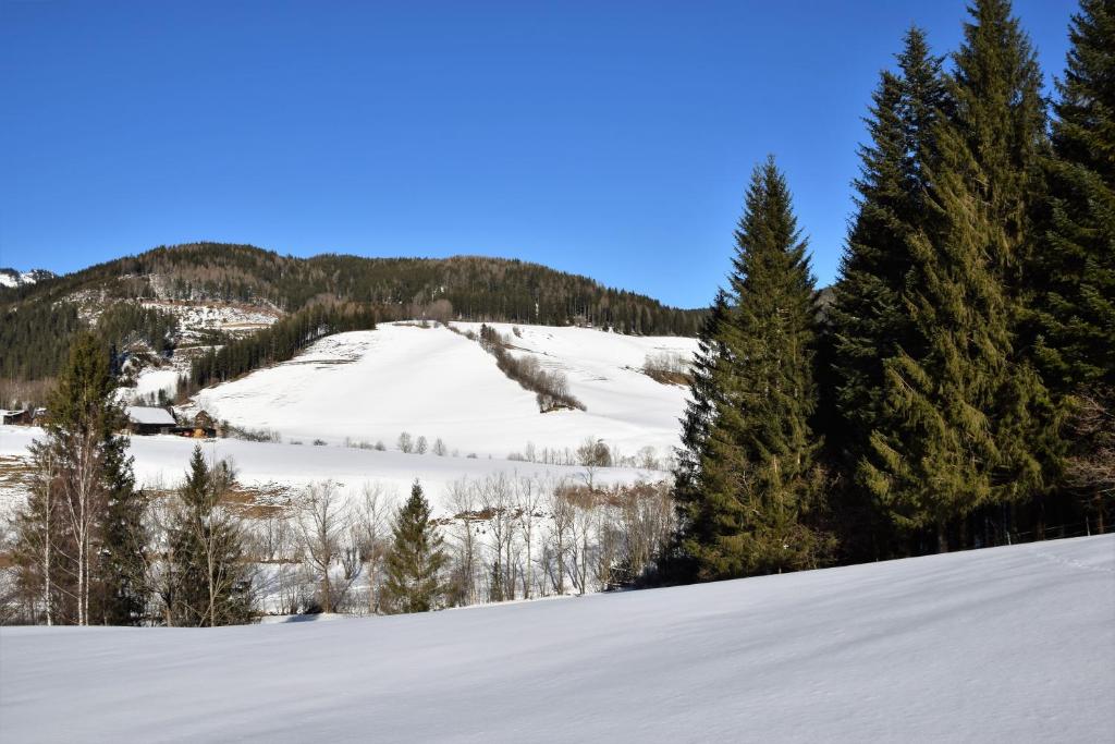 Ferienhaus Dirnbacher Hütte v zimě