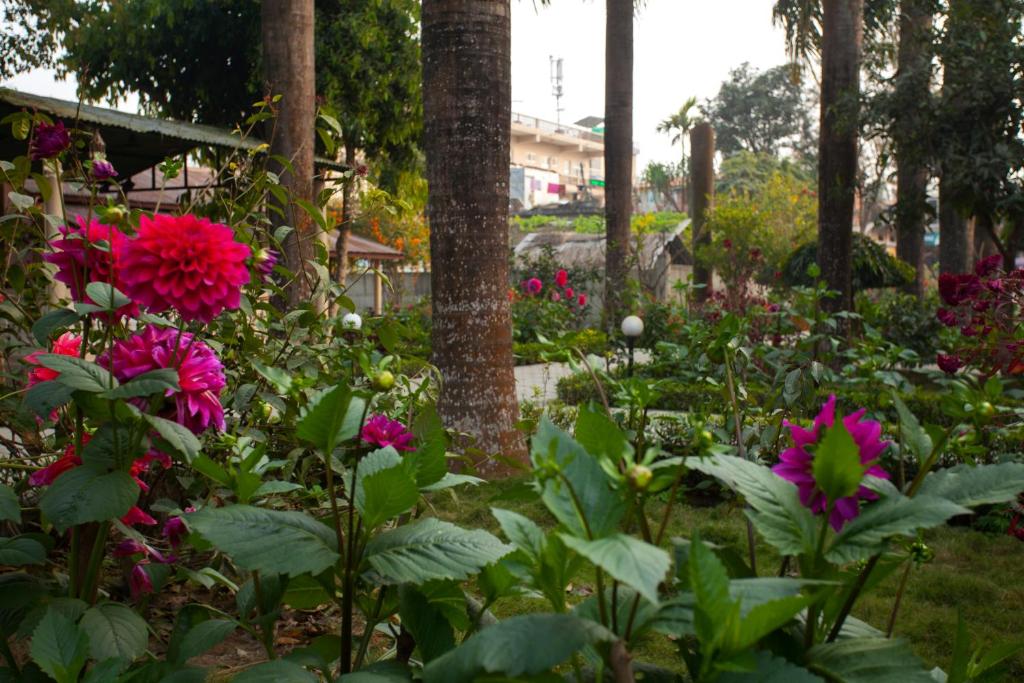 a garden with pink flowers and trees at Sauraha Resort in Sauraha