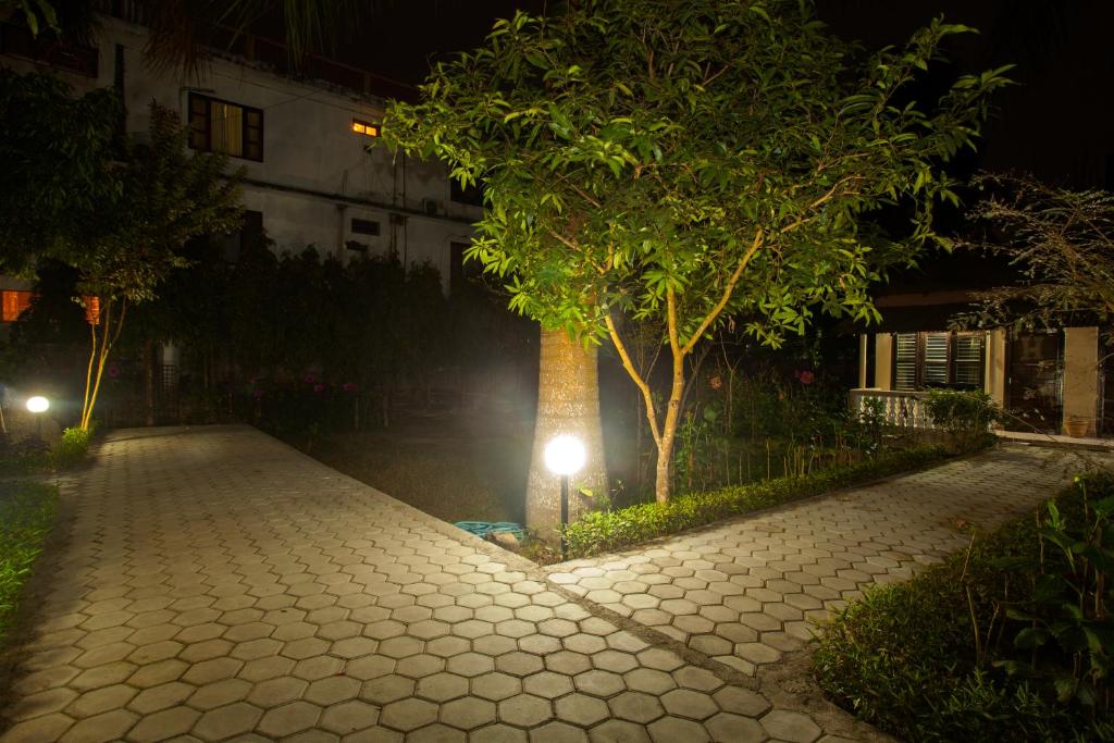 a tree on the side of a street at night at Sauraha Resort in Sauraha