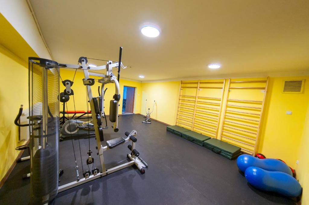 Fitness centrum a/nebo fitness zařízení v ubytování DW Potok