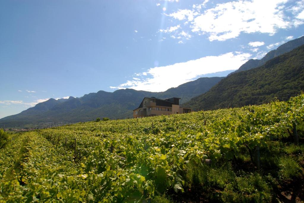 a house in the middle of a field of flowers at Biobauernhof St. Quirinus in Caldaro