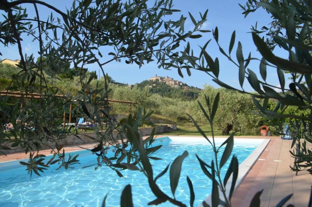 una vista a través de los árboles de una piscina en Agriturismo Il Monte - Piscina tra gli Ulivi, Maneggio con Cavalli e WIFI, en Monte Santa Maria Tiberina
