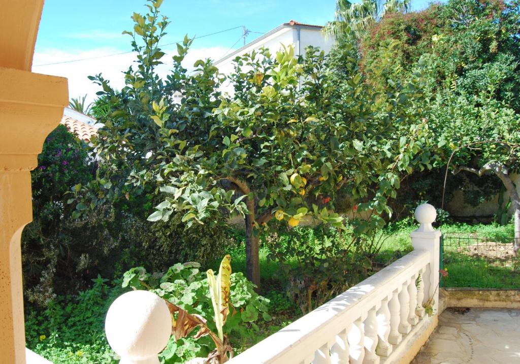Zahrada ubytování Villa Dolores