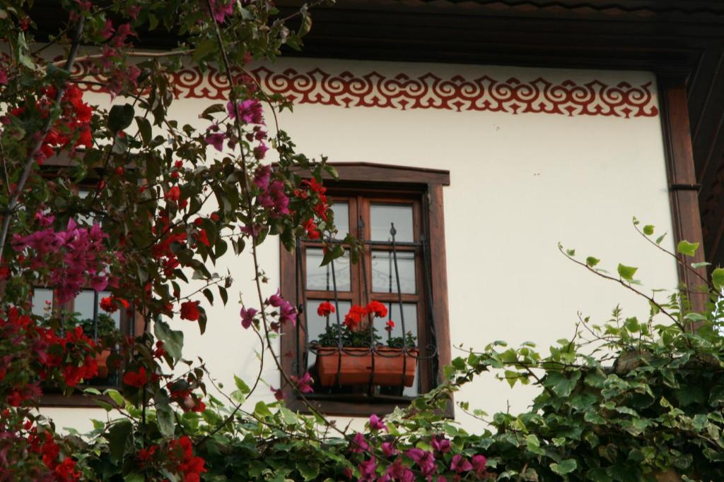 Zahrada ubytování Dogan Hotel