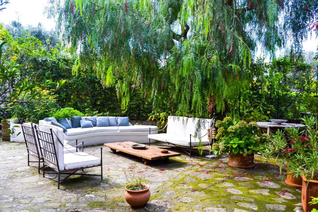 マッサ・ルブレンセにあるLa Casa del Pepe rosaの家具としだれ柳の木があるパティオ