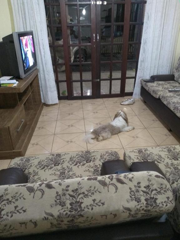 Meu pequeno paraíso