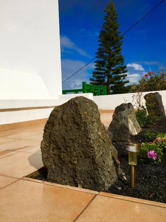 Vonkajšia záhrada v ubytovaní Finca la costa
