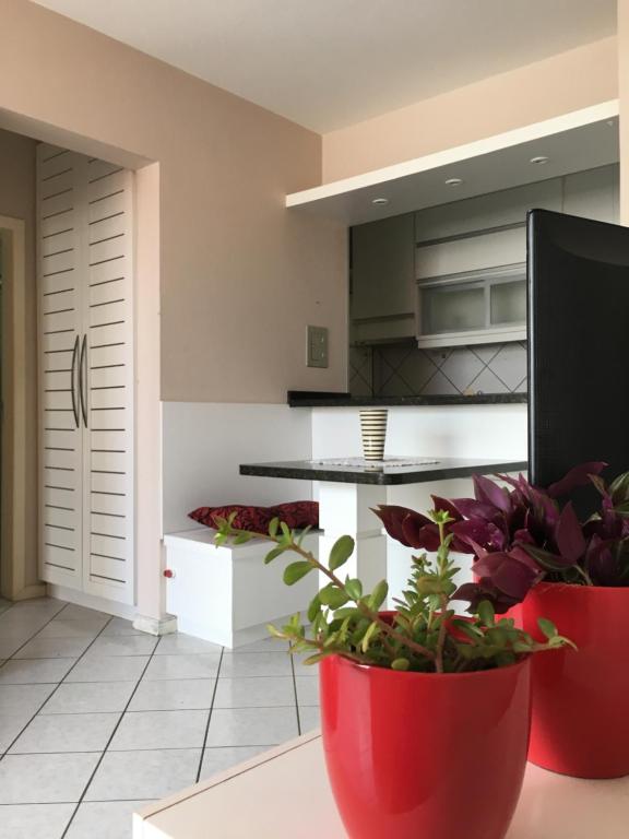 eine Küche mit zwei roten Töpfen mit Pflanzen darin in der Unterkunft Apartamento Centro dos Ingleses in Florianópolis