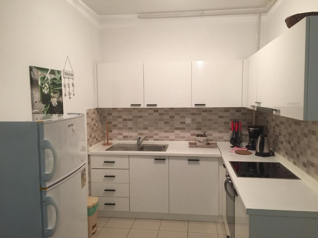 Kuchyňa alebo kuchynka v ubytovaní Nova Galerija Studio Ema i Apartman Anita- parking in garage