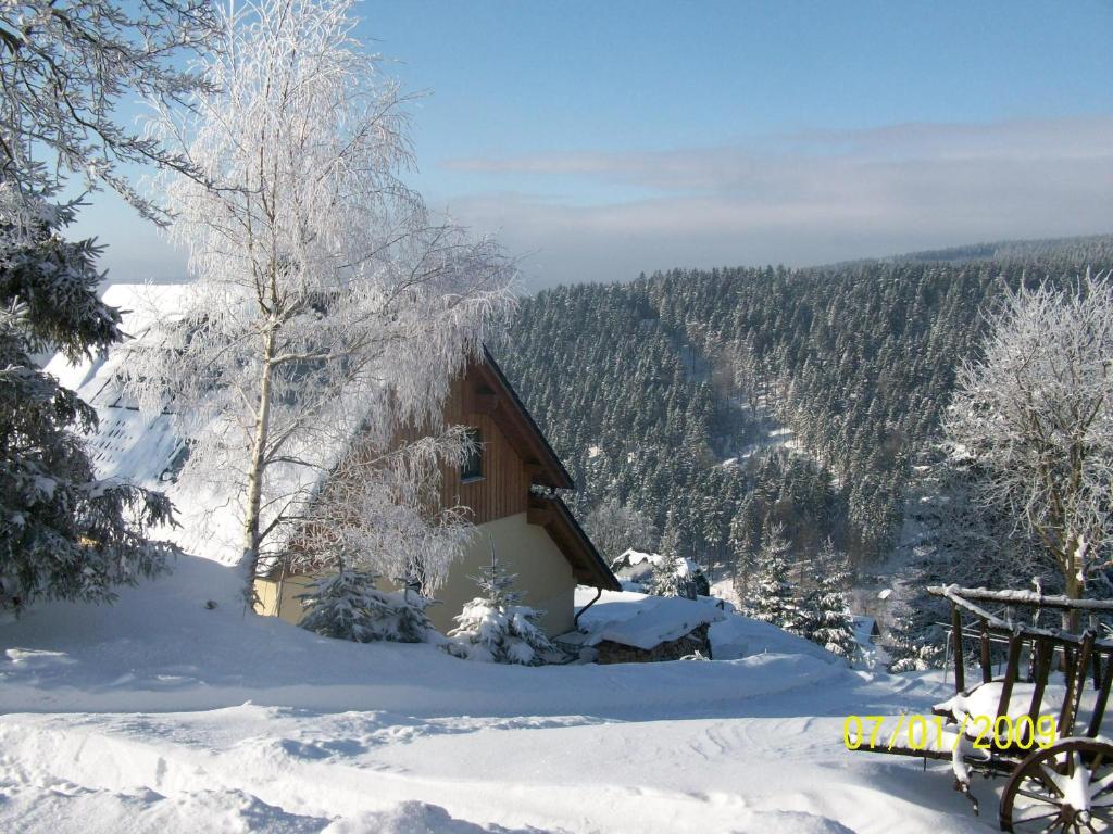 eine schneebedeckte Hütte mit Bergblick in der Unterkunft Ferienwohnung Familie Becher Klingenthal Aschberg in Klingenthal