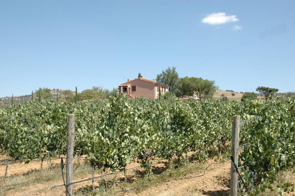 Foto dalla galleria di Agriturismo Pian dei Pini a Montiano