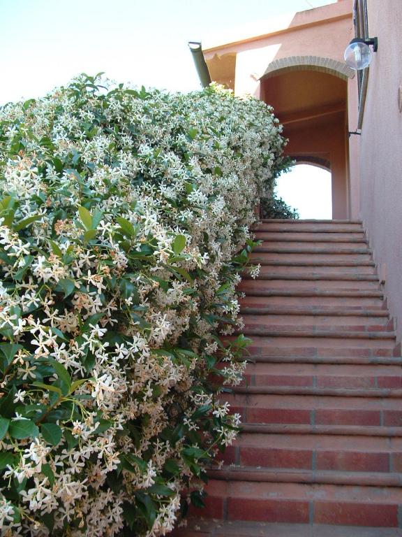 Giardino di Agriturismo Pian dei Pini