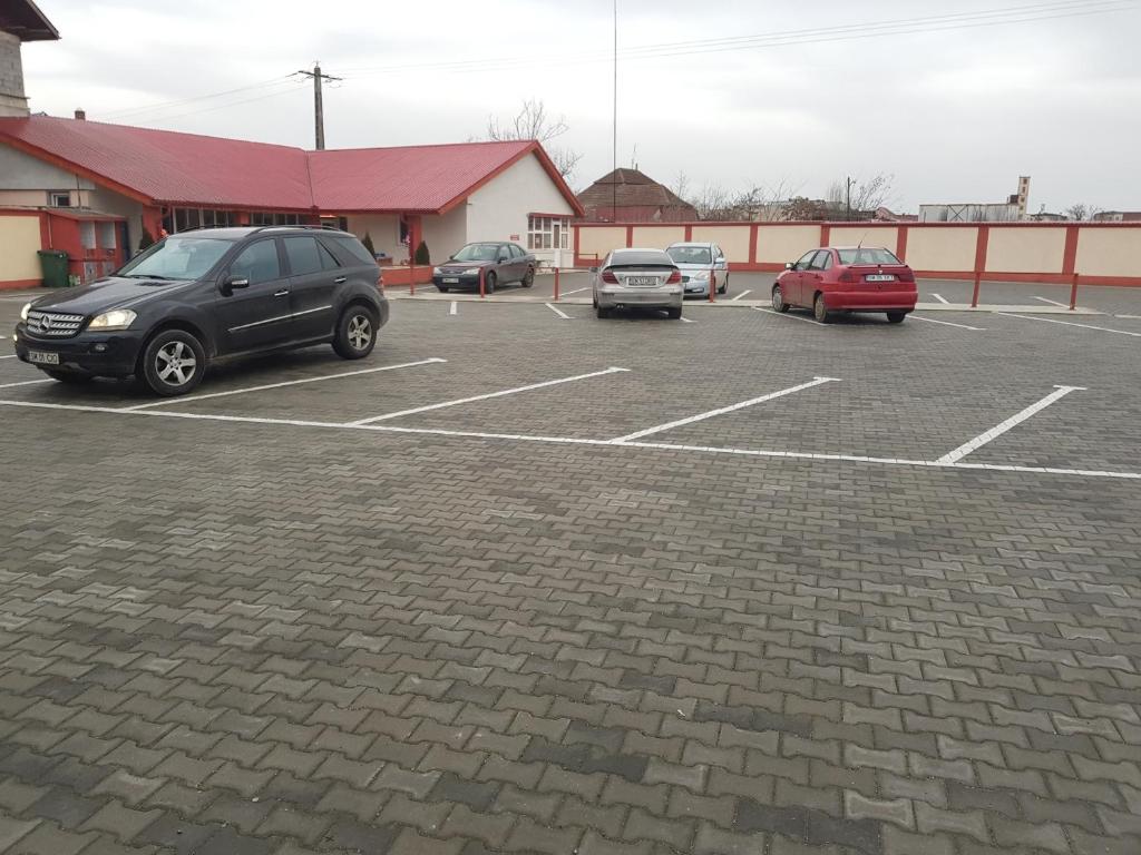 Hanul Lui Ionut - Resim 19