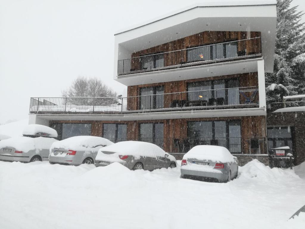 Appartement Kitzsteinhorn -Summercard included v zime