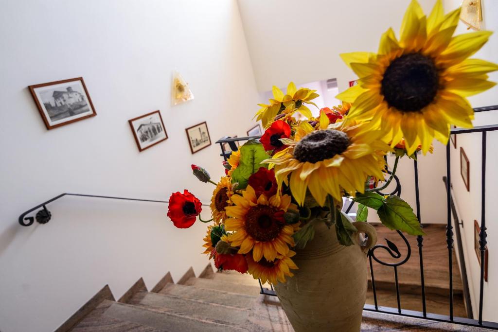 Fotografie z fotogalerie ubytování Agriturismo Nonis v destinaci San Vito al Tagliamento