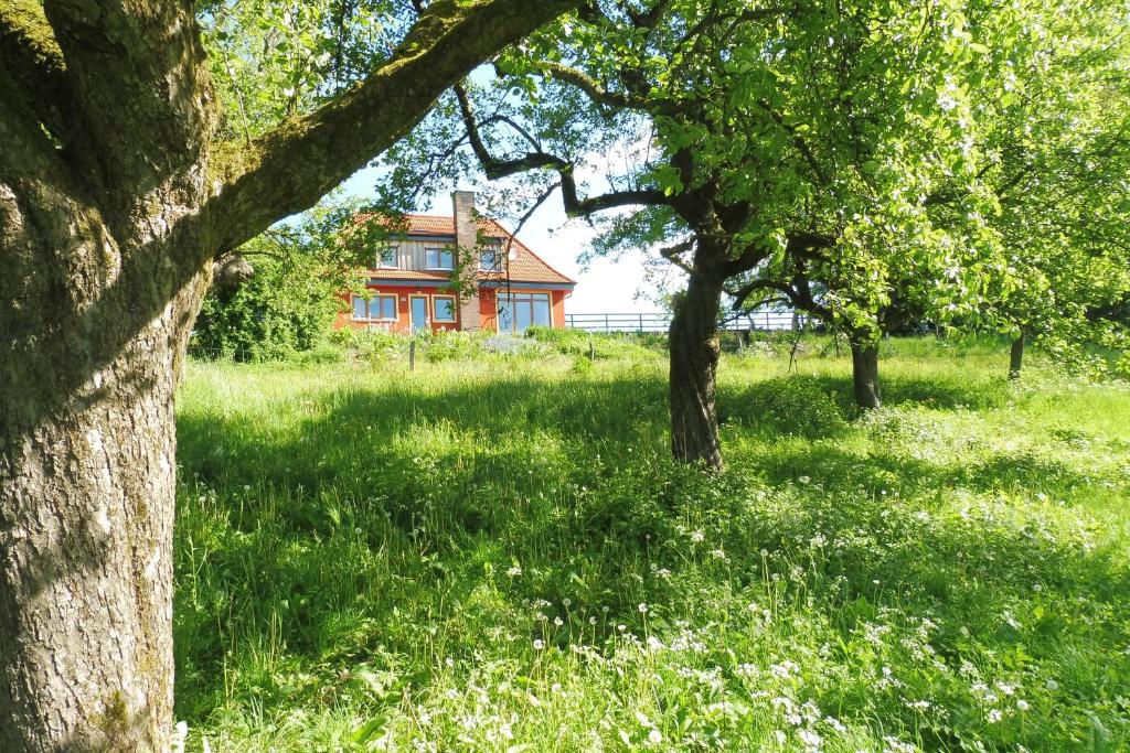 Tatil evinin bulunduğu bina