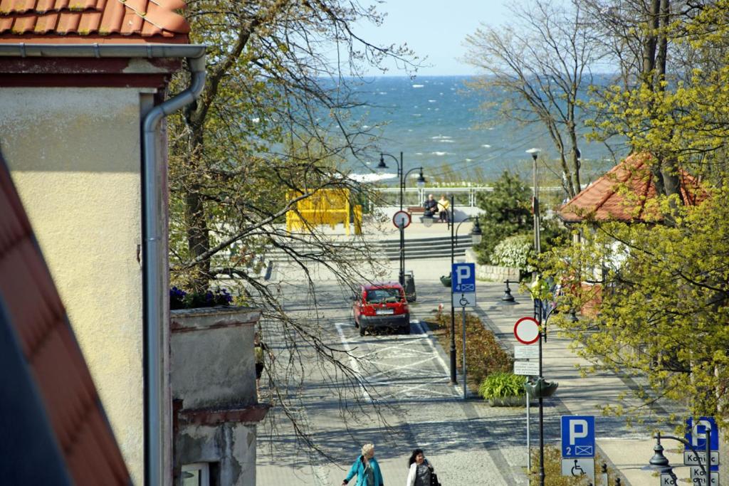 Przyroda w pobliżu tego hotelu