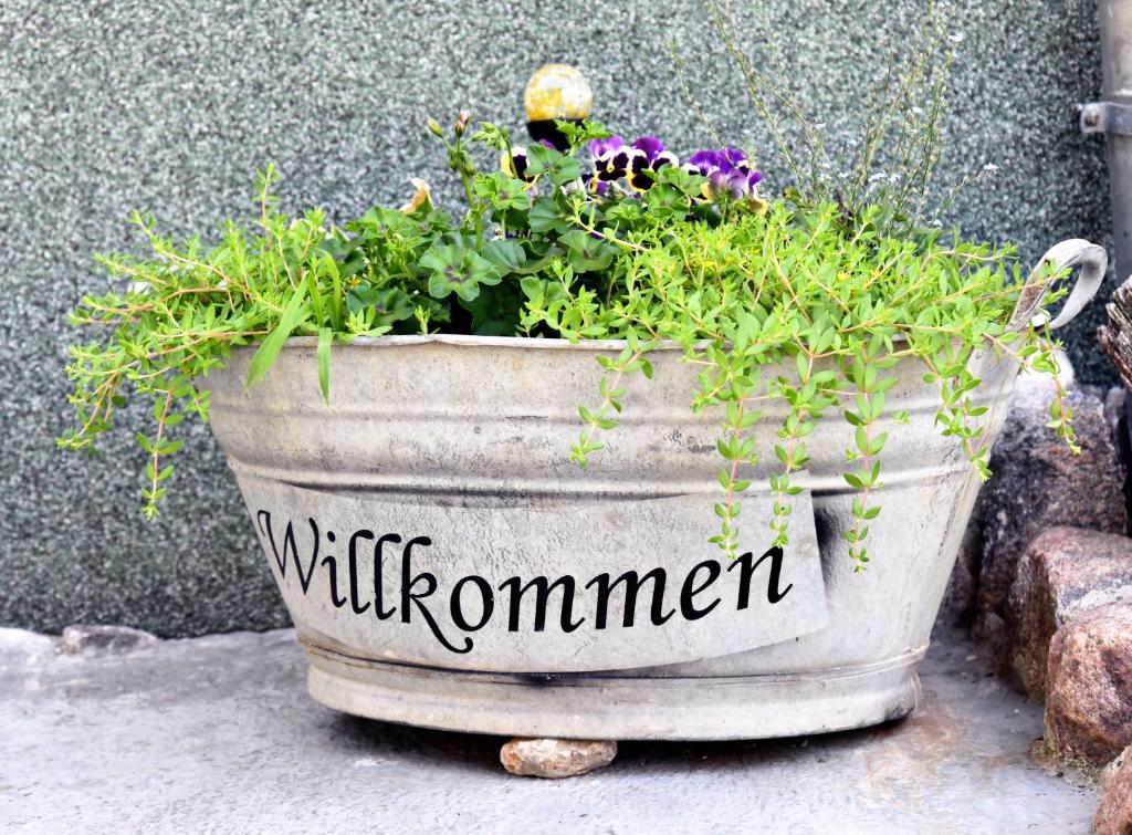 a potted plant with the words wildlife command written on it at Ferienhaus "Am Gutspark" in Alt Tucheband