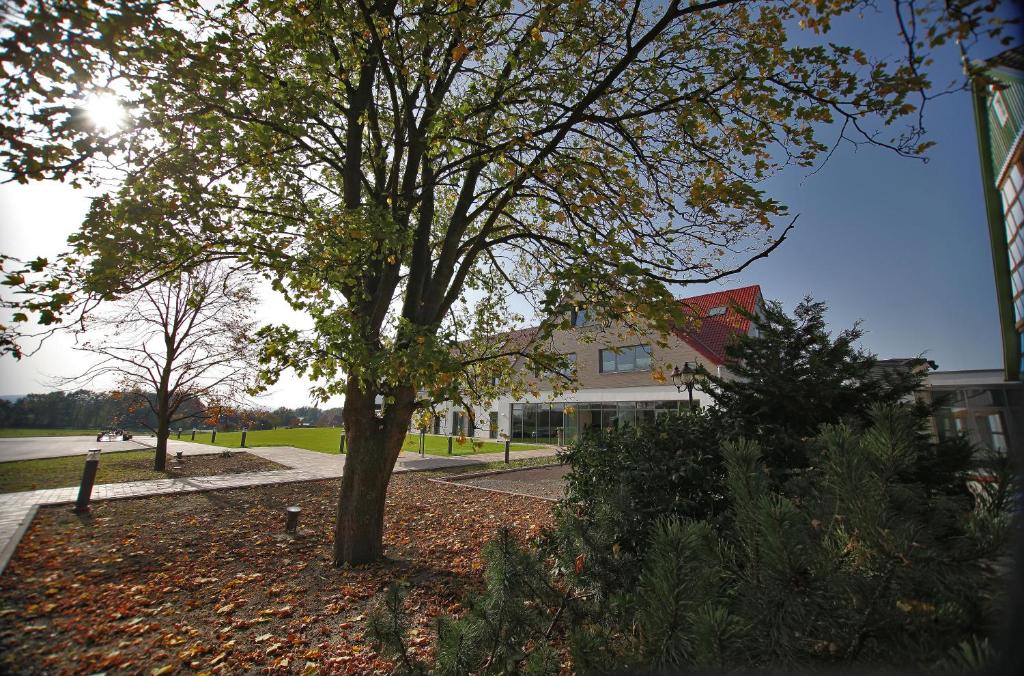 Zahrada ubytování Hotel Weinhaus Möhle