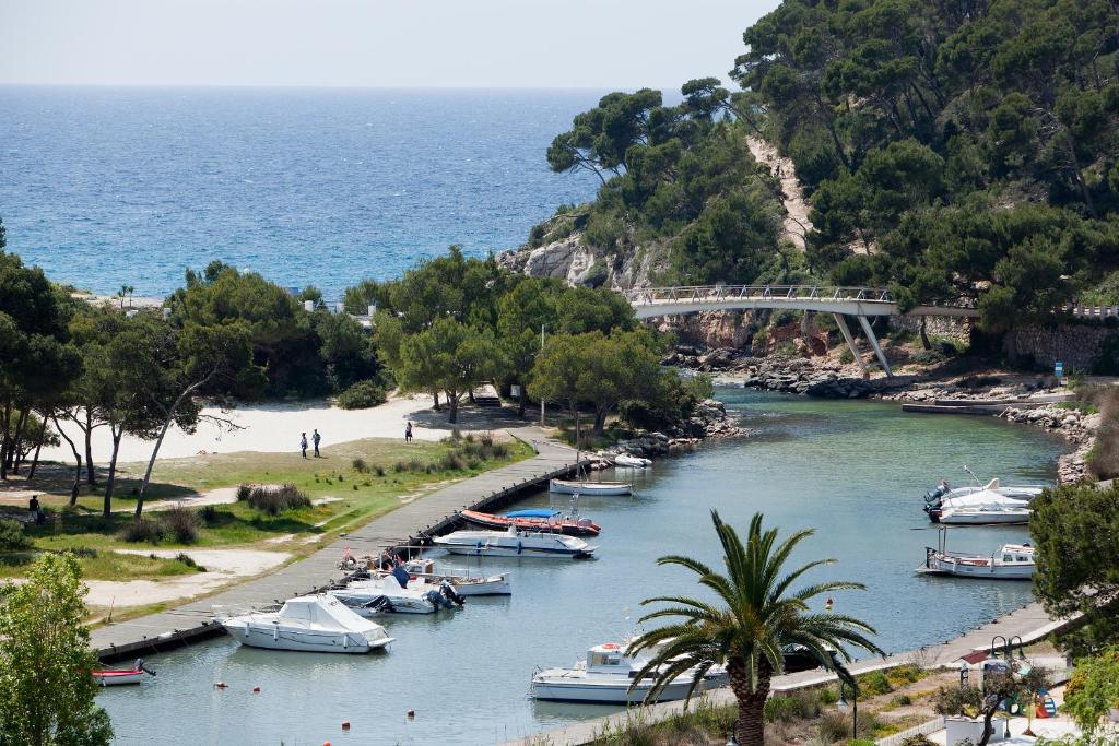 a group of boats are docked in a river at Minura Cala Galdana & Apartamentos d'Aljandar in Cala Galdana