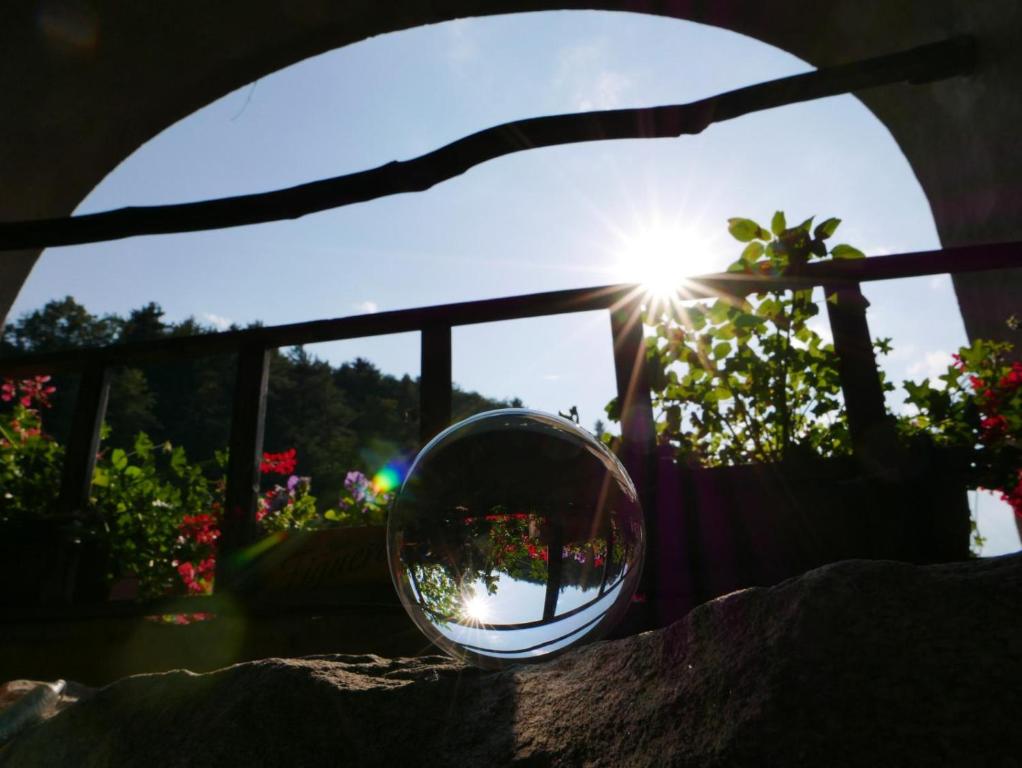 Fotografie z fotogalerie ubytování Affittacamere Casa Archi v destinaci Losone