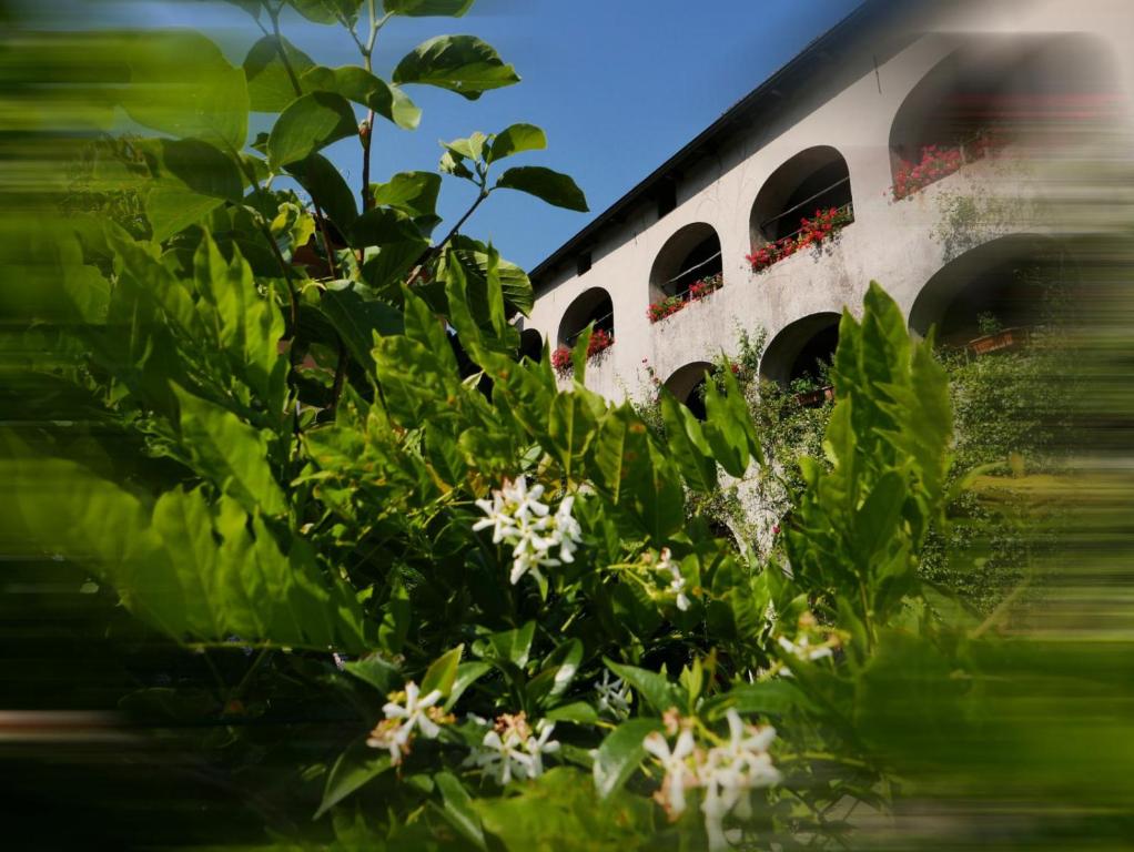 Zahrada ubytování Affittacamere Casa Archi