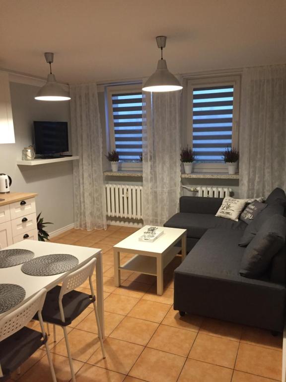 a living room with a couch and a table at Apartment Oświęcim klimatyzowany in Oświęcim