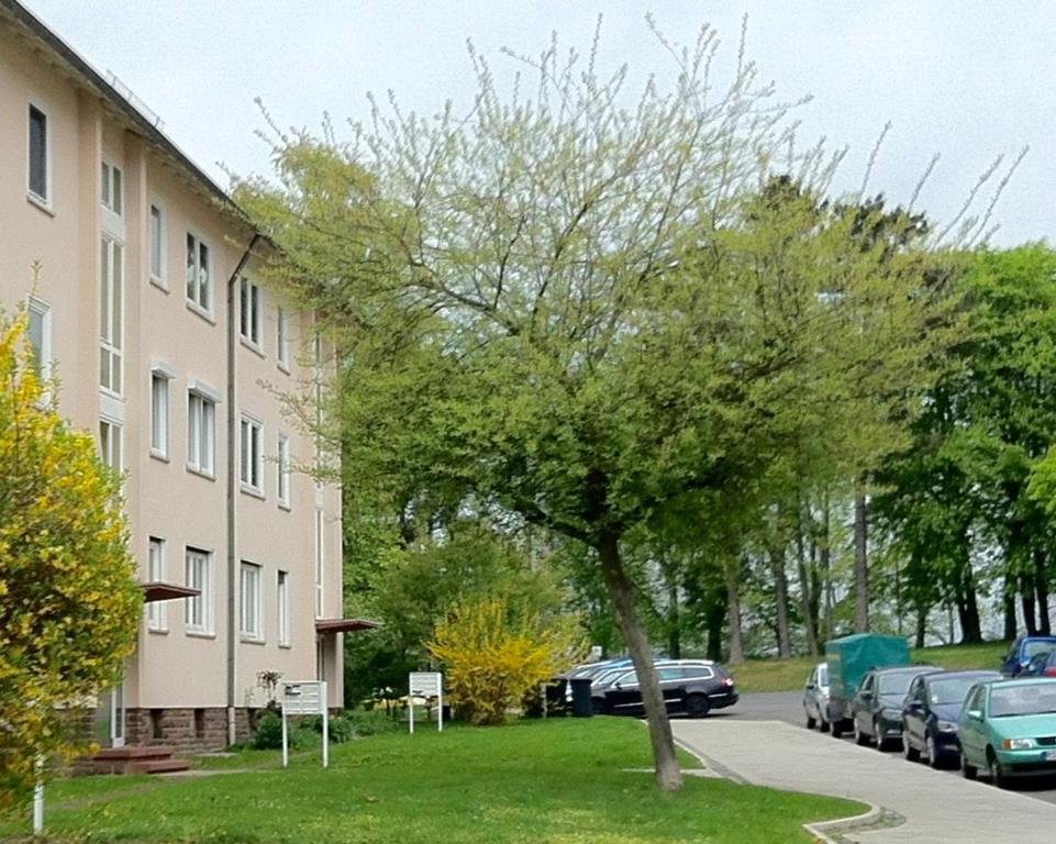 un árbol en la hierba al lado de un edificio en ask rooms Privatzimmer in Kassel en Kassel