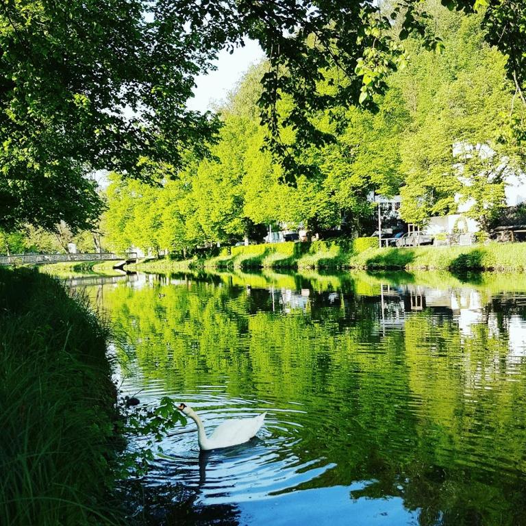 Příroda nedaleko hotelu