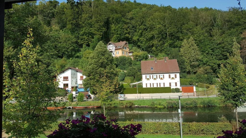 Příroda nedaleko hotelu