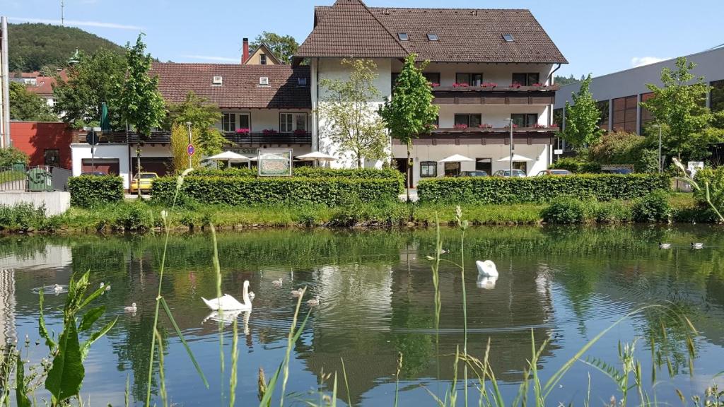Příroda nedaleko hotelu