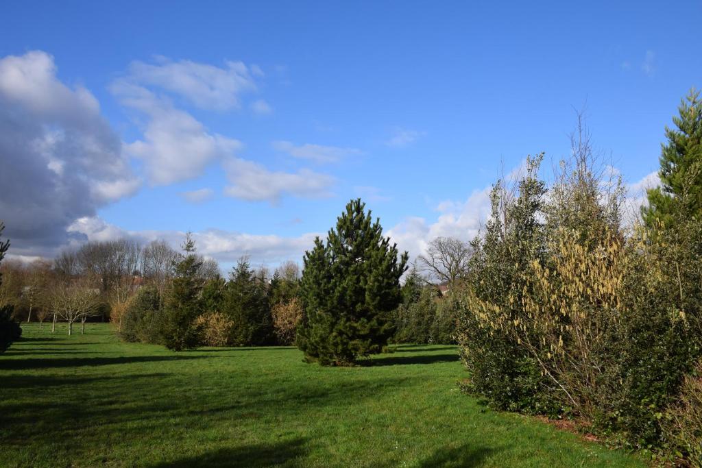 Appartement avec rez de jardin à Disneyland - 15