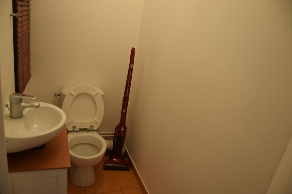 Appartement avec rez de jardin à Disneyland - 3