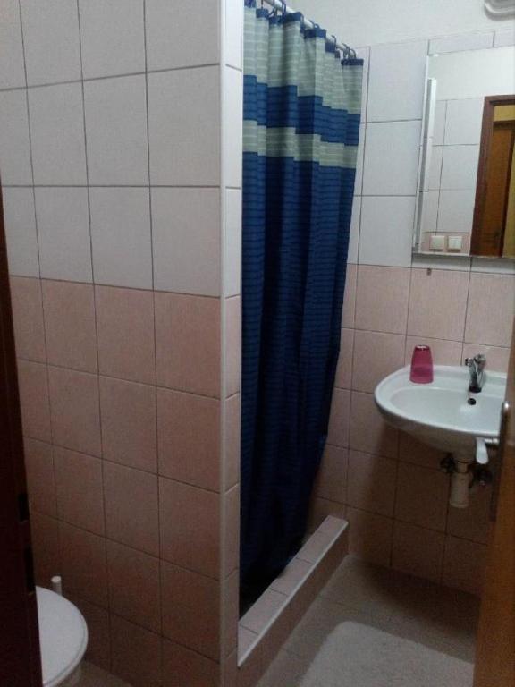 łazienka z zasłoną prysznicową i umywalką w obiekcie Penzion Rajf w Karniowie